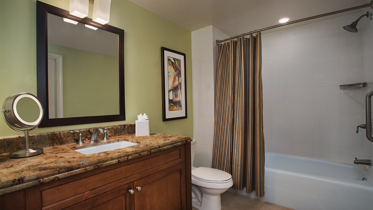 Bathroom (Larger Guestroom)